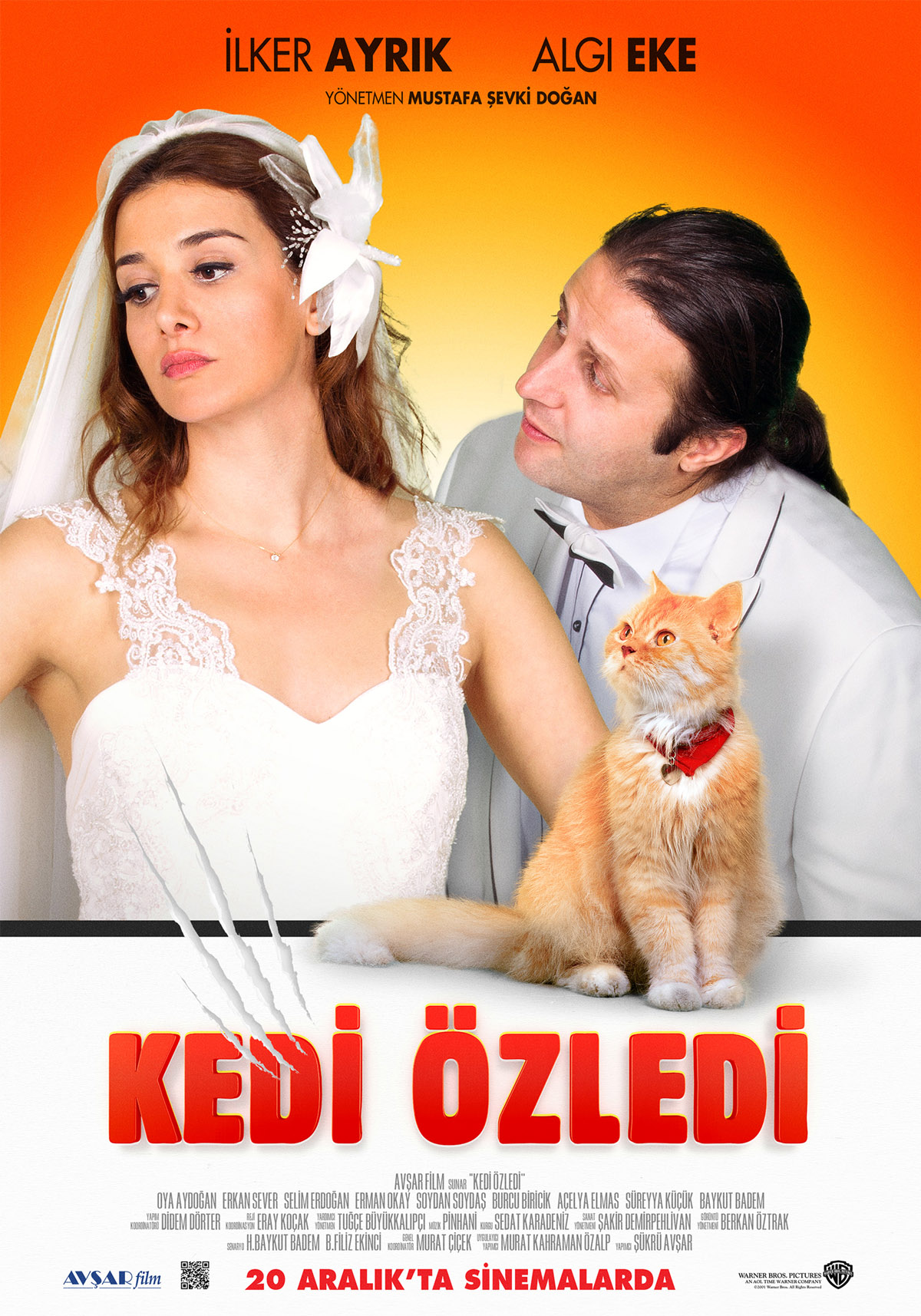 Kedi Özledi