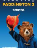 Ayı Paddington 2