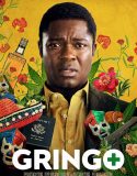 Gringo