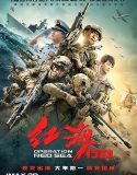 Operation Red Sea