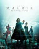 Matrix 4