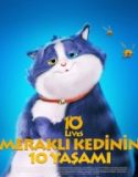 Meraklı Kedinin 10 Yaşamı