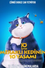 Meraklı Kedinin 10 Yaşamı