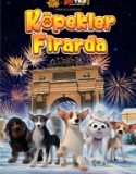 Köpekler Firarda