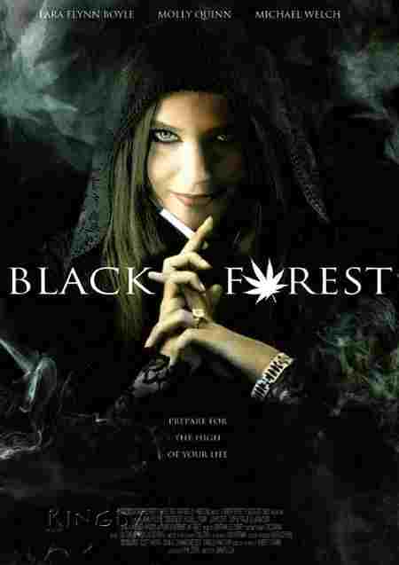 Kara Orman – Black Forest